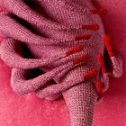 Mary May, Quite Contrary